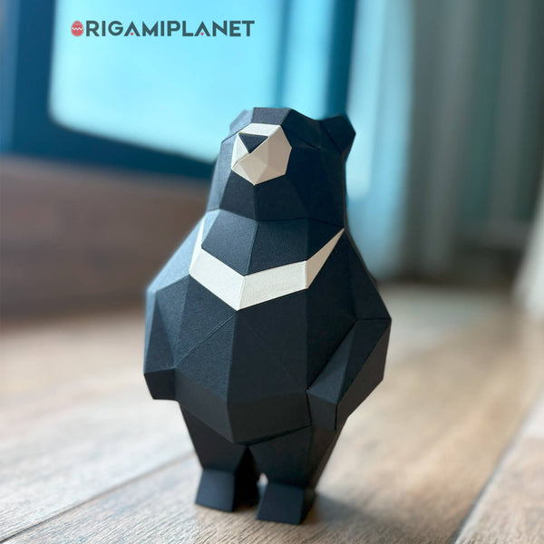Black Bear
